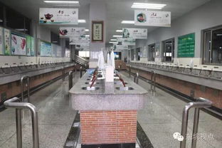 文化经纪促活力，文明创建谱新篇——大东坑的文化服务实践