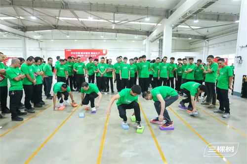 凝心聚力共筑文化生产力 三棵树首届工厂文化节暨文化经纪人服务启动仪式圆满举行