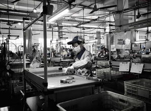 电子厂为何青睐文化较低者？背后真相与文化经纪人的新兴服务